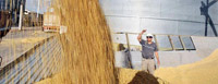 Los obreros de las exportadoras cerealeras y el conflicto agrario