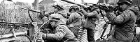 A 29 años de la guerra de Malvinas