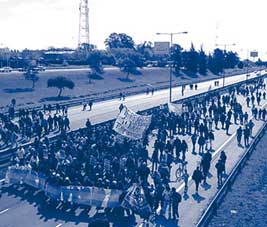 Abajo las causas de la Panamericana