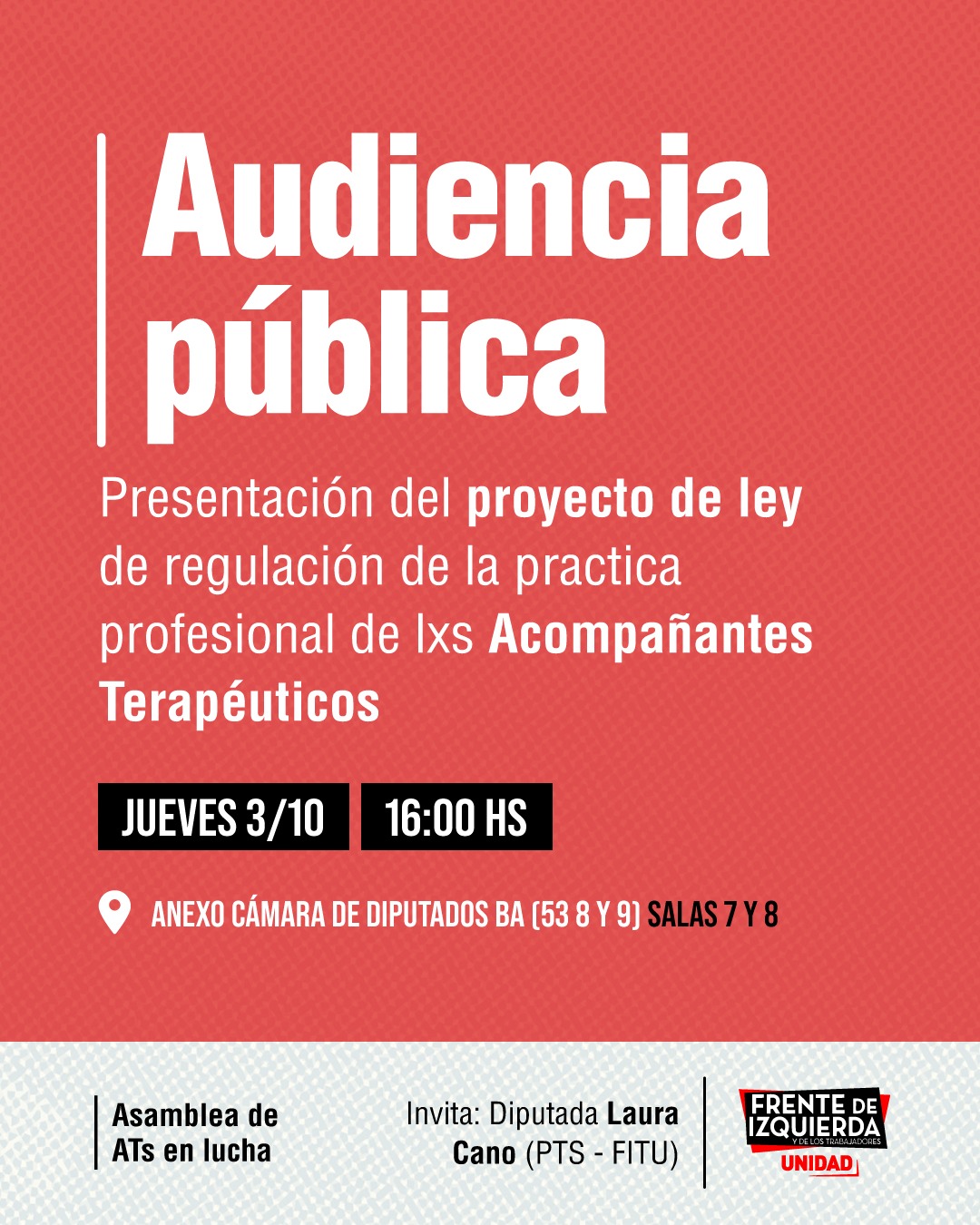 La diputada Laura Cano presentará en audiencia pública el proyecto de ley de regulación de la práctica profesional de los y las Acompañantes Terapéuticas