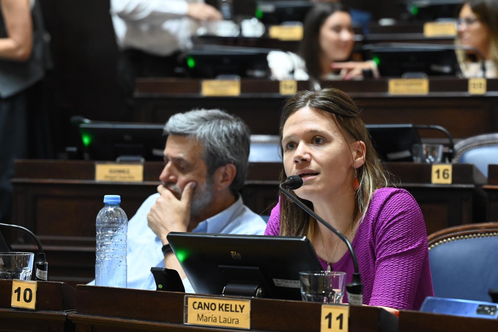 Laura Cano: “El presupuesto de Kicillof más que un escudo frente al ajuste de Milei, es un colador”