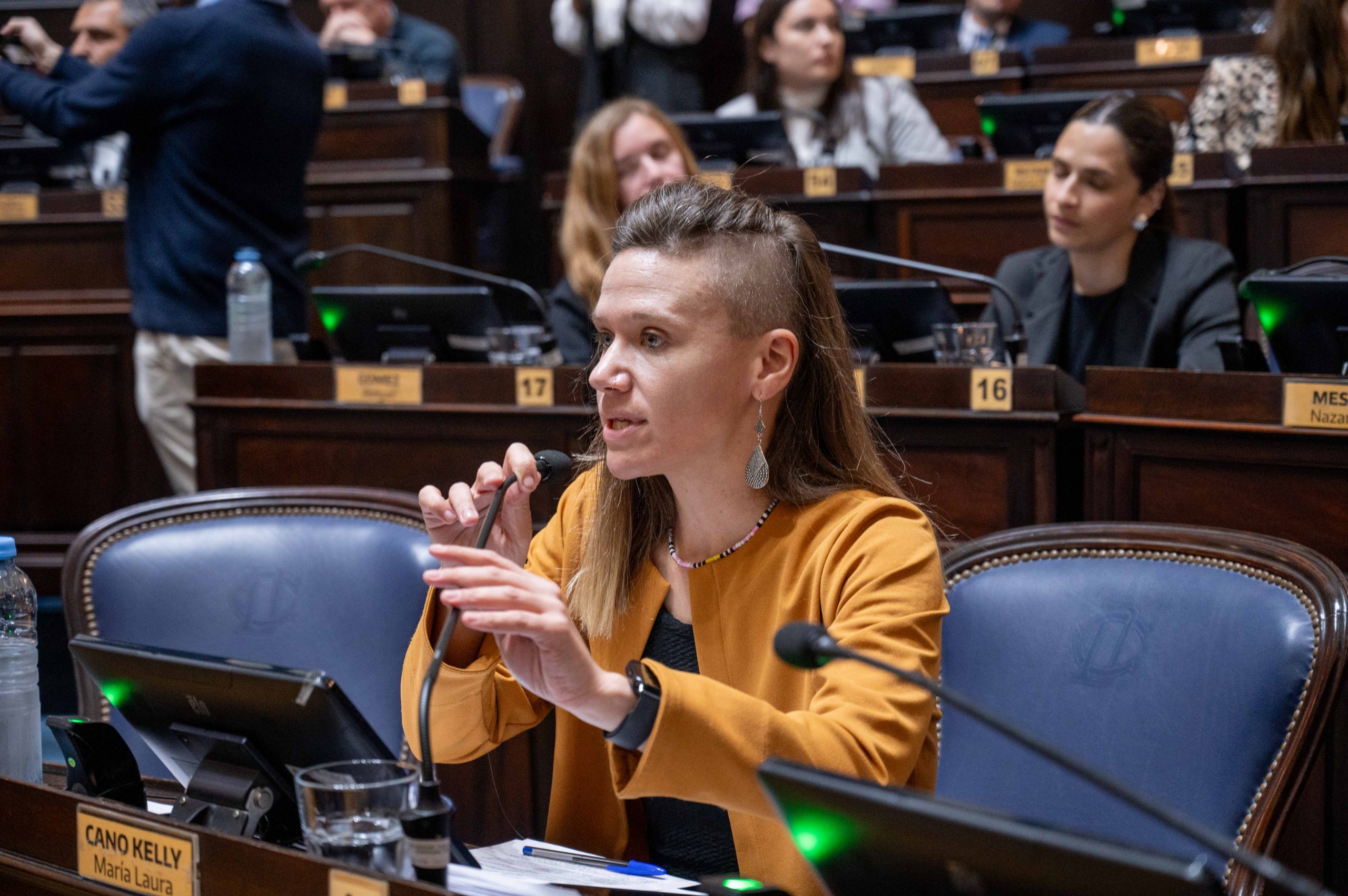 Laura Cano: "Nos quieren callar en el recinto por denunciar que maniobran el curso electoral según su propia interna"