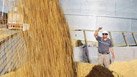 Los obreros de las exportadoras cerealeras y el conflicto agrario