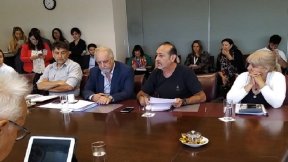 Godoy: “Los poderosos quieren adueñarse de nuestros bosques, ríos y territorios mapuches”