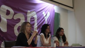 Bregman: Entre los abortos inseguros y los femicidios mueren 600 mujeres por año