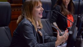 Alejandrina Barry del FIT: "No es un homenaje, es una reivindicación de la dictadura"