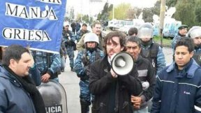 Buitres, patotas y caranchos
