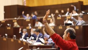 Solicitan partidas presupuestarias para dar respuesta integral a las mujeres víctimas de violencia