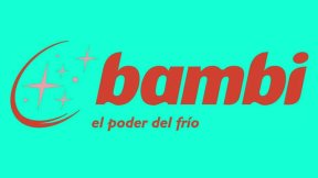 Denuncian despidos masivos en Bambi S.A. 
