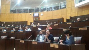 Raúl Godoy: “El MPN votó sin debate la reforma electoral, por eso nos retiramos con toda la oposición”