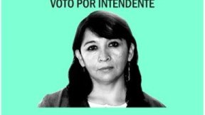Boleta Neuquén-Intendente