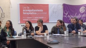 Avanza el proyecto de ley para regular el ejercicio profesional del Acompañamiento Terapéutico 