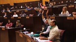 Importante pronunciamiento de la Legislatura por el Aborto Legal