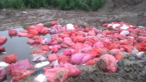 La Izquierda denuncia montañas de basura patógena sin tratamiento en El Pongo