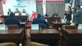 Alemán: “Votaron a favor que el Intendente decrete tarifazos sin consulta”