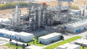 Solicitan informes al gobierno por la situación de la PIAP