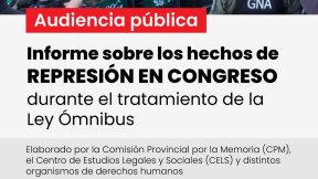 Presentarán informes a la Cámara de Diputados sobre la represión en las manifestaciones contra la Ley Ómnibus