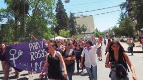 Más de mil mujeres de Pan y Rosas participaron del ENM