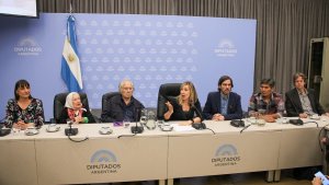 Primer rechazo al protocolo de Bullrich en el Congreso
